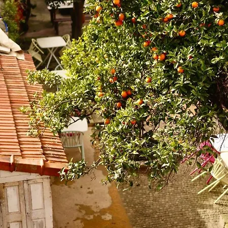 Alegria 1º Appartement *