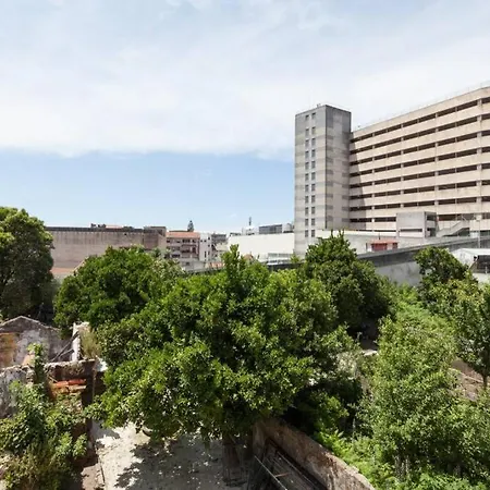 Alegria 1º 포르투