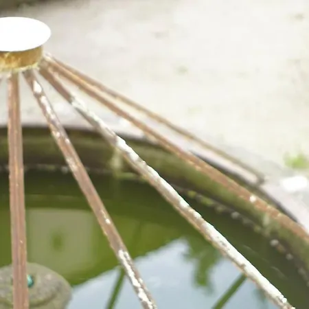 Alegria 1º * Oporto