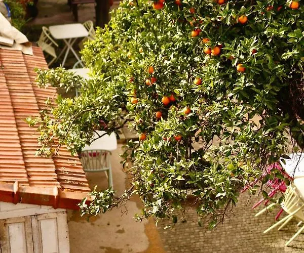 Alegria 1º Lägenhet *