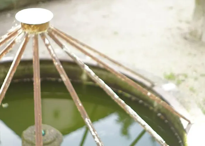 Alegria 1º * 포르투